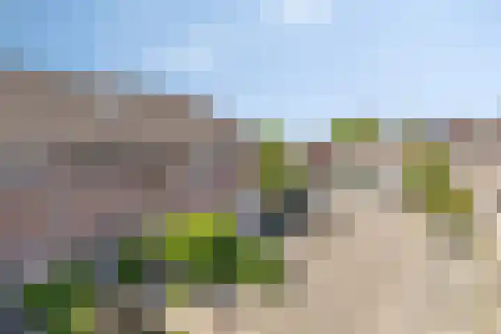 Oostene 14 Steenbergen thumbnail 36
