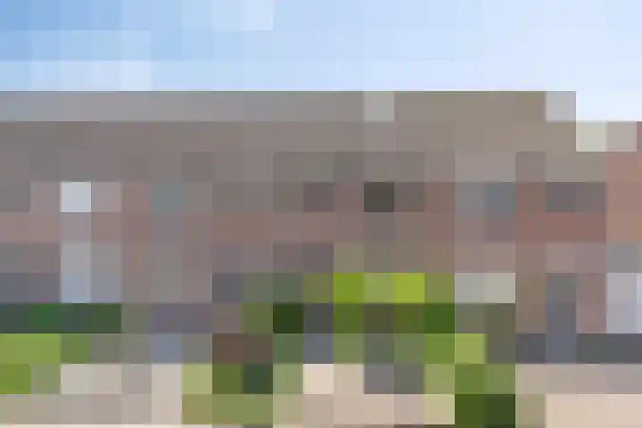 Oostene 14 Steenbergen thumbnail 37