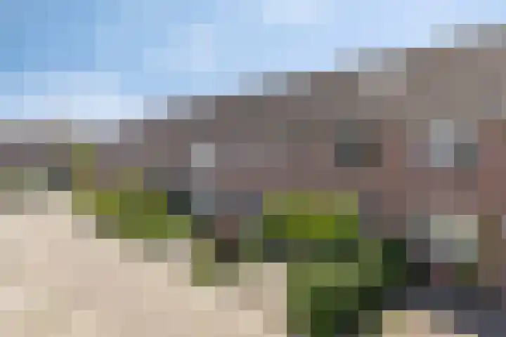 Oostene 14 Steenbergen thumbnail 38