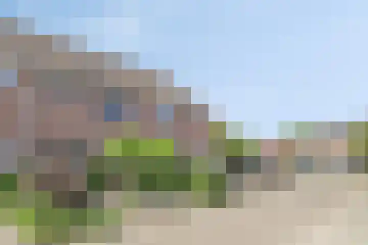 Oostene 14 Steenbergen thumbnail 39