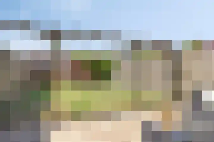 Oostene 14 Steenbergen thumbnail 4
