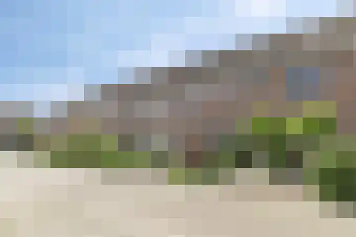 Oostene 14 Steenbergen thumbnail 40