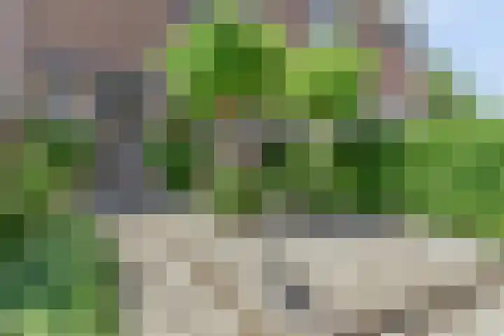 Oostene 14 Steenbergen thumbnail 5