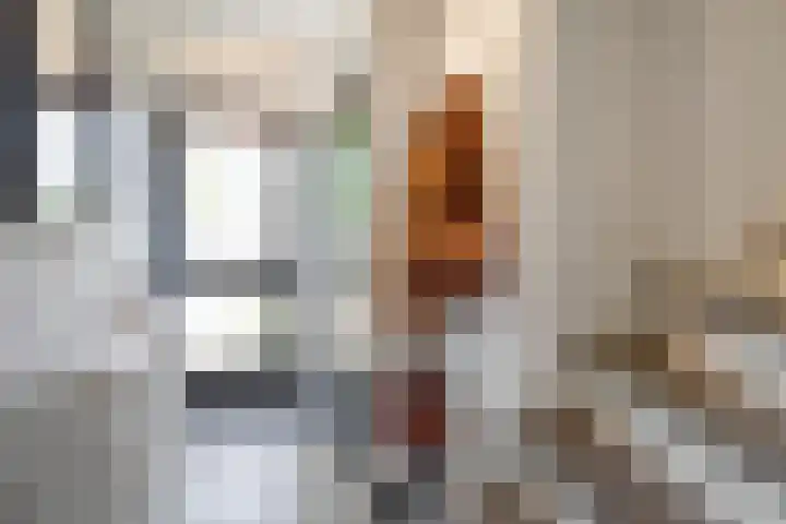 Oostene 14 Steenbergen thumbnail 6