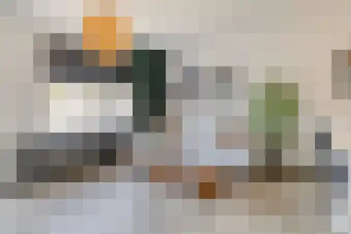 Oostene 14 Steenbergen thumbnail 9