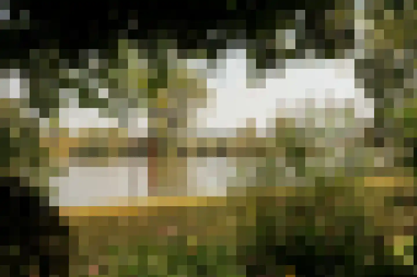 Oostenhoek 6 Heerewaarden thumbnail 47