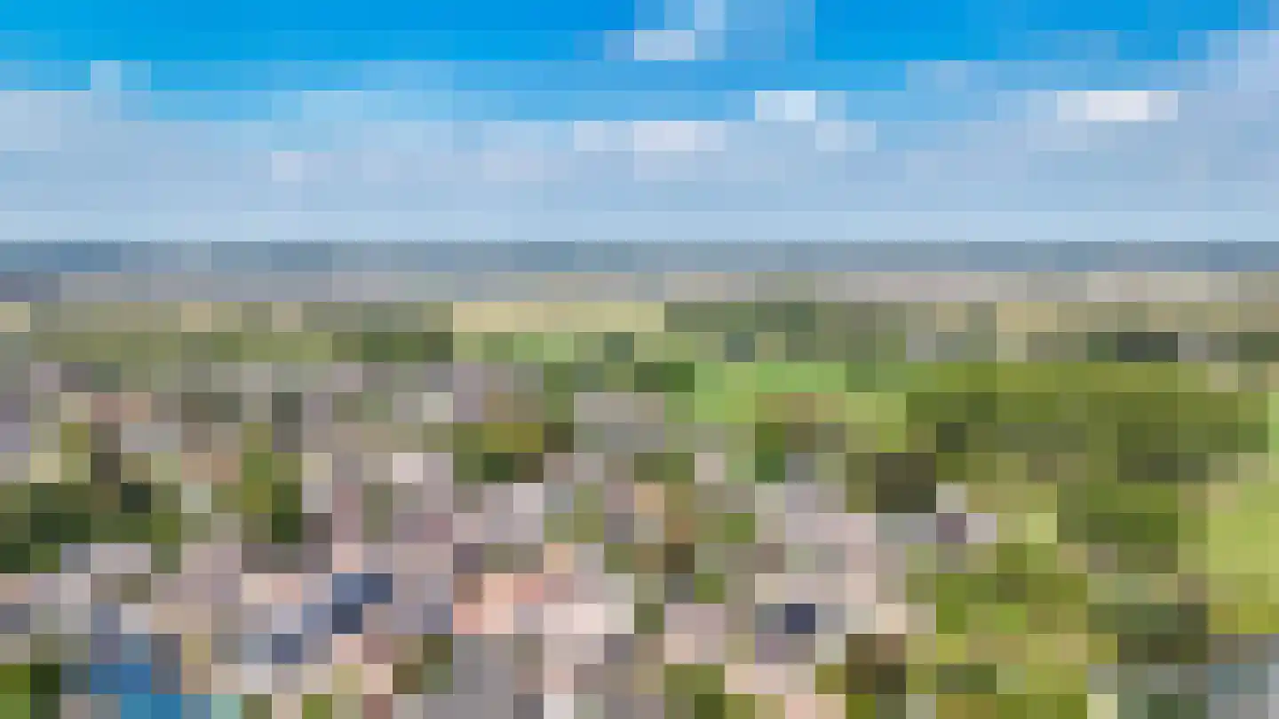 Oostenhoek 6 Heerewaarden thumbnail 58