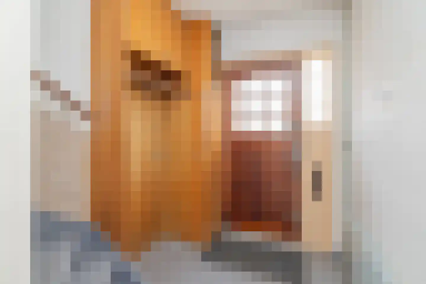 Oostenrijklaan 15 Haarlem thumbnail 10