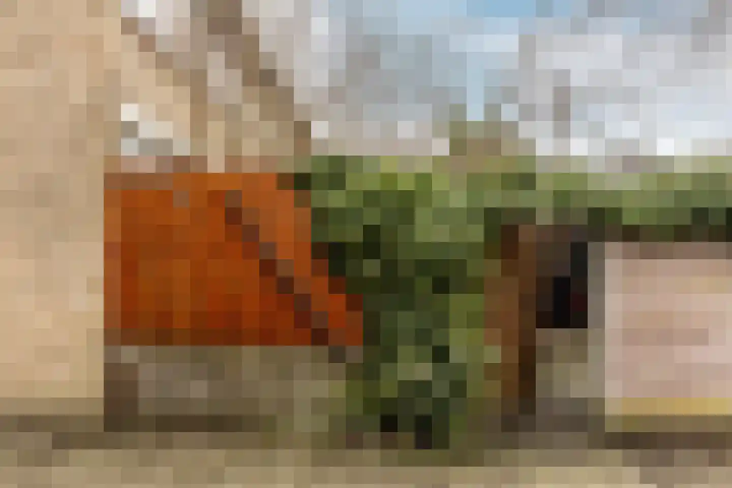Oostenrijklaan 29 Haarlem thumbnail 32