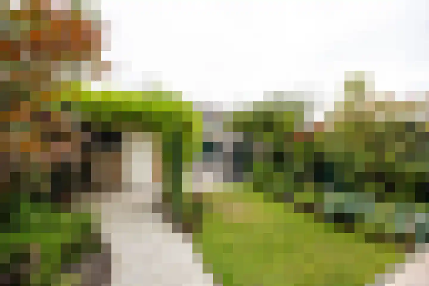 Oostenrijklaan 49 Haarlem thumbnail 27