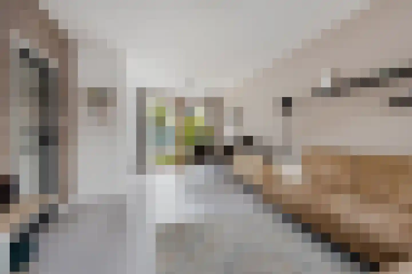 Oostenrijklaan 49 Haarlem thumbnail 4