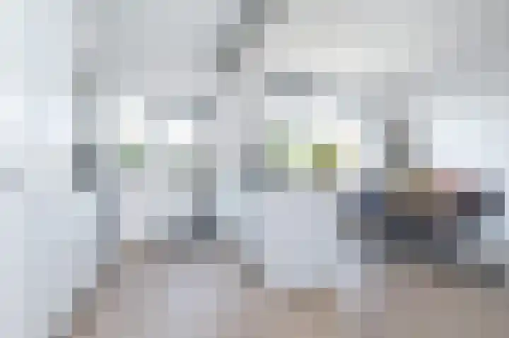 Oostenrijksestraat 16 Goedereede thumbnail 4