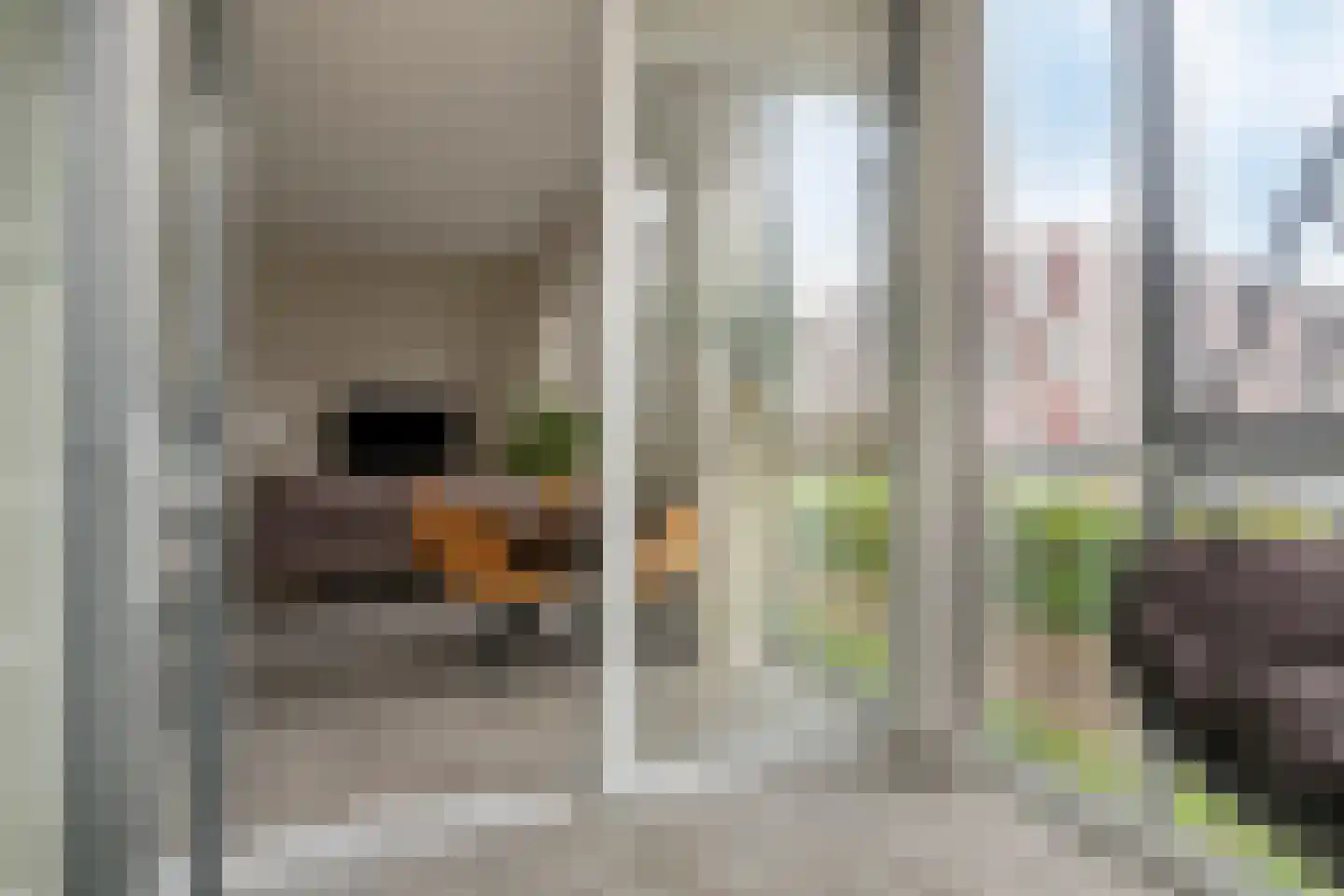 Oostenrijkstraat 14 Almere thumbnail 27