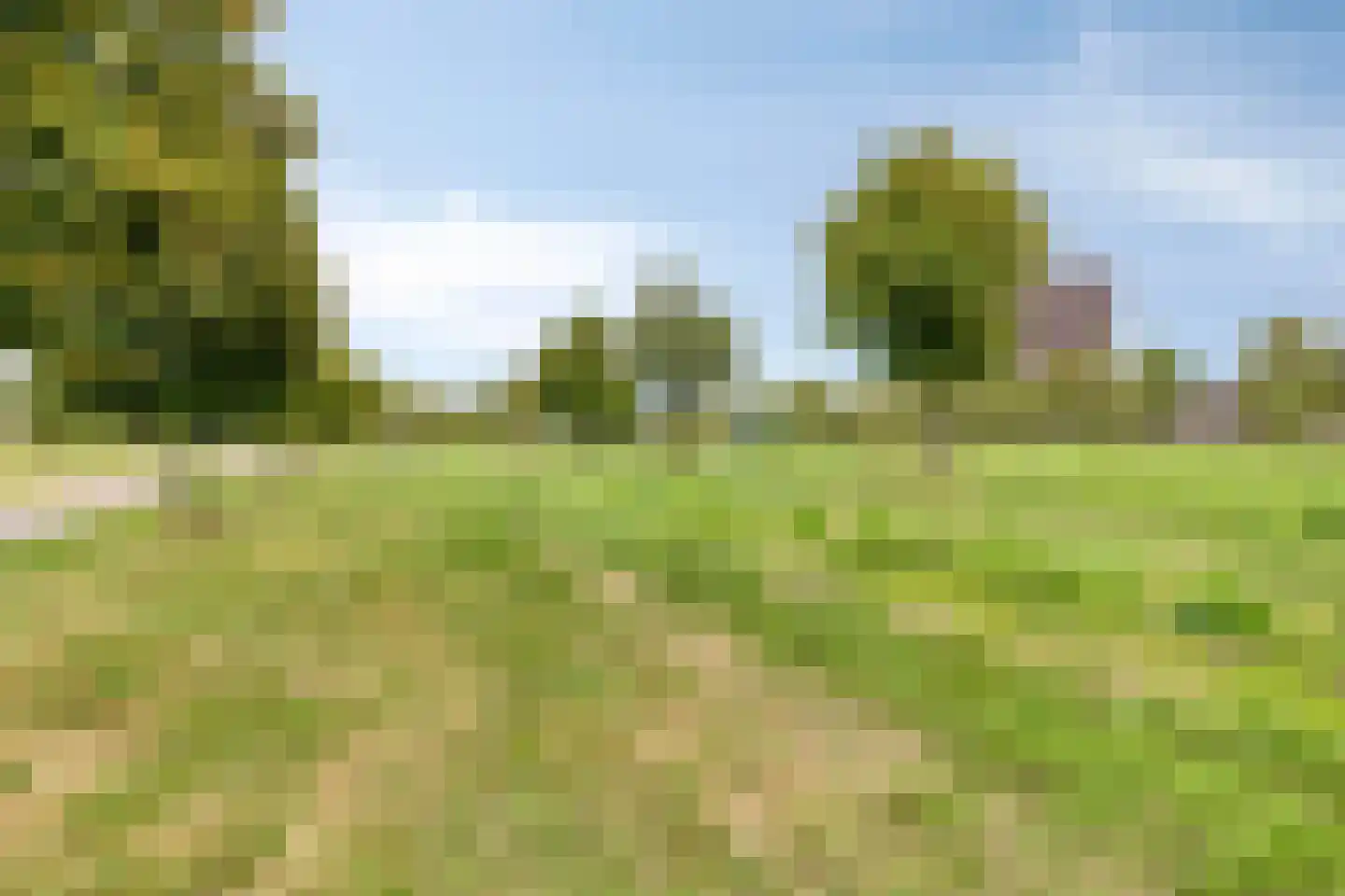 Oostenrijkstraat 43 Almere thumbnail 39