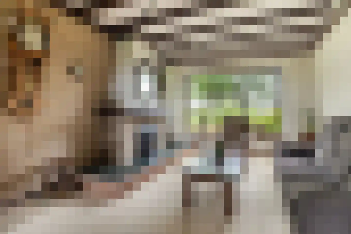 Oostenstein 20 Kollum thumbnail 15