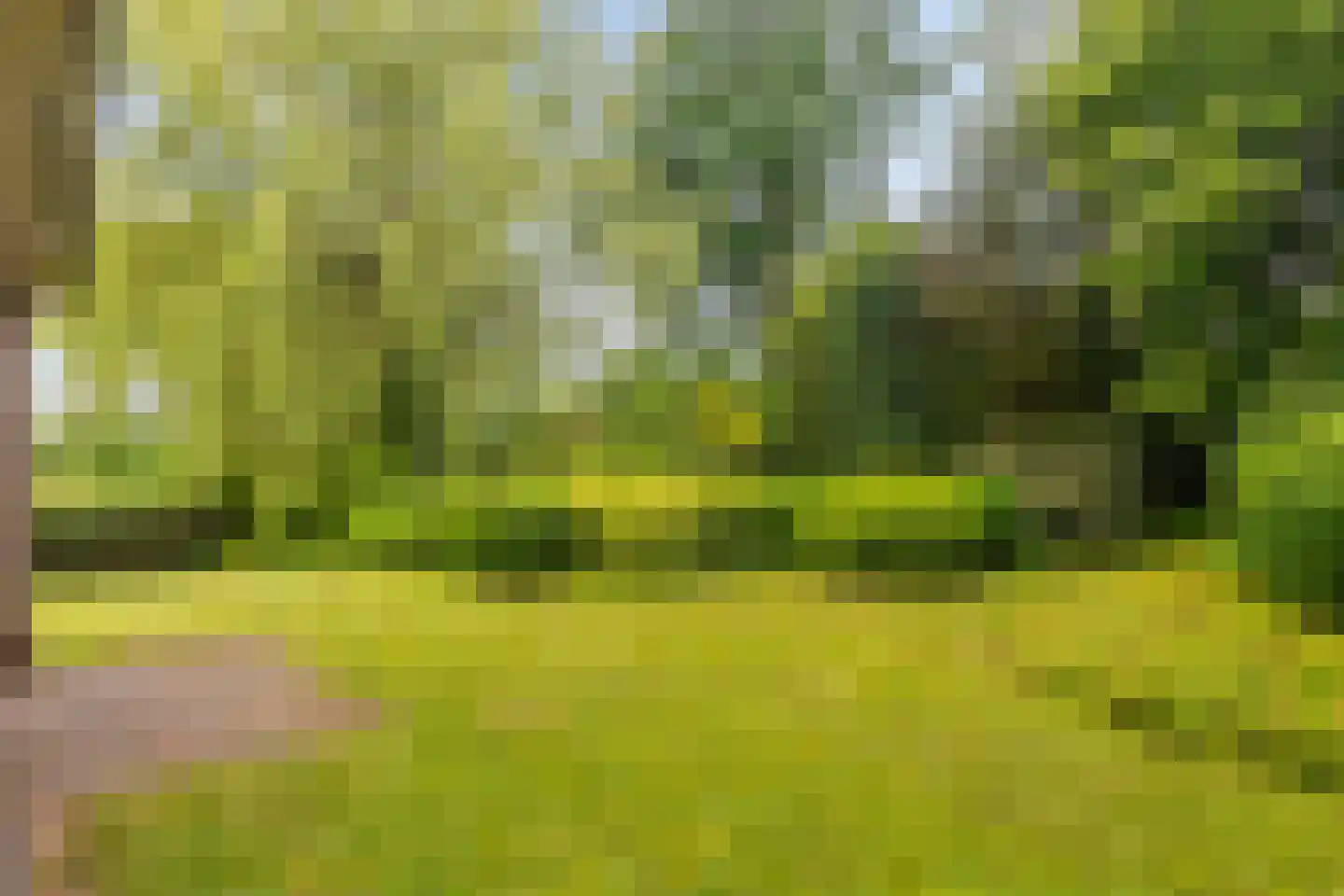 Oostenstein 20 Kollum thumbnail 24