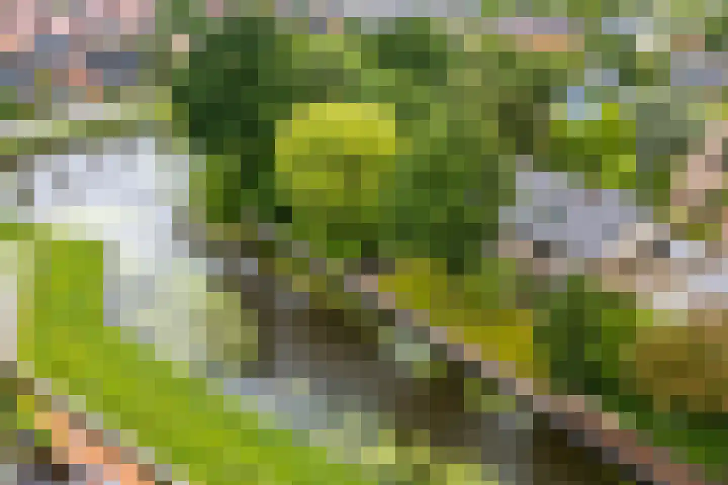Oostenstein 20 Kollum thumbnail 4