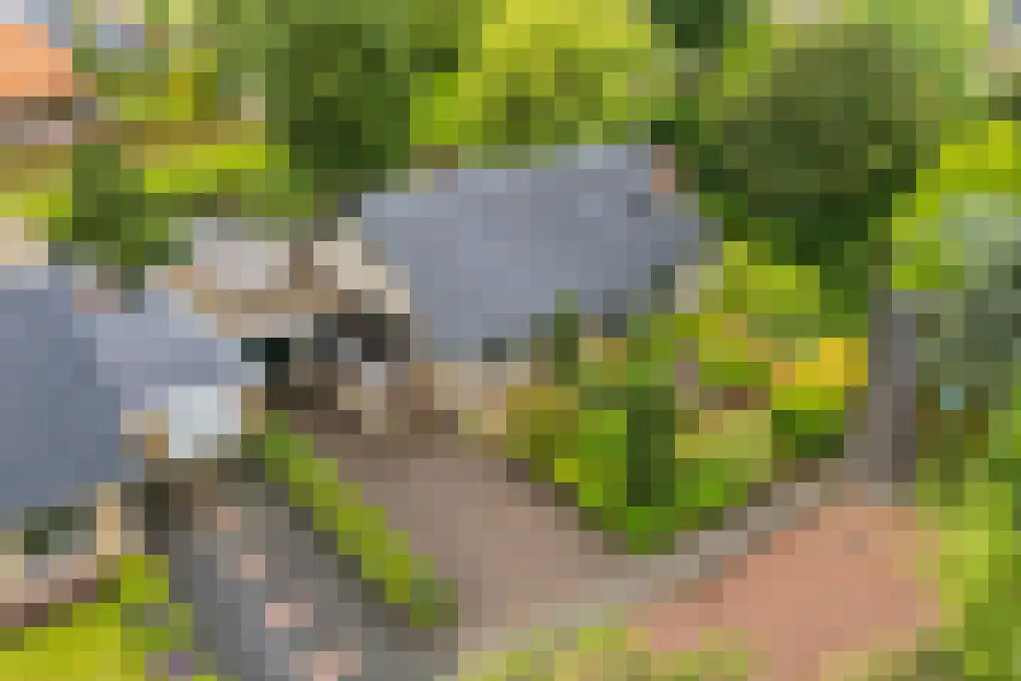 Oostenstein 20 Kollum thumbnail 8