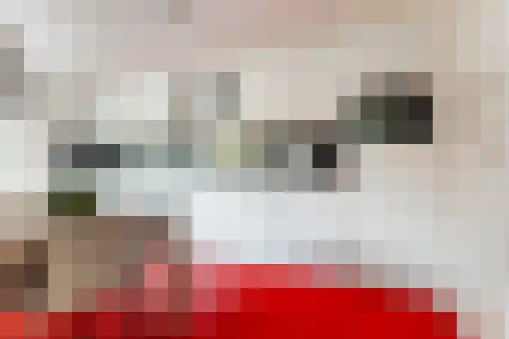 Oostenstein 36 Kollum thumbnail 23