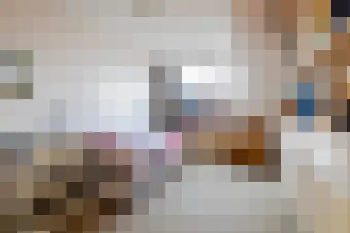 Oostenstein 36 Kollum thumbnail 29