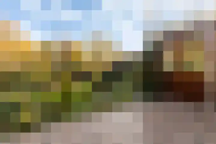 Oostenstein 36 Kollum thumbnail 40