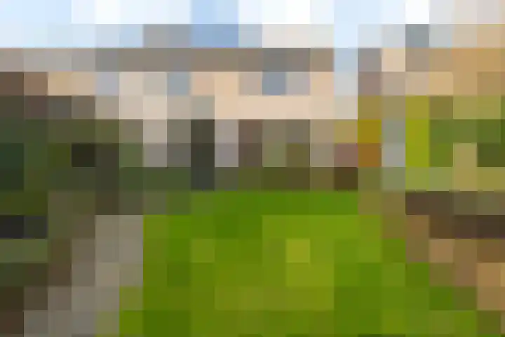 Oostenstein 36 Kollum thumbnail 41
