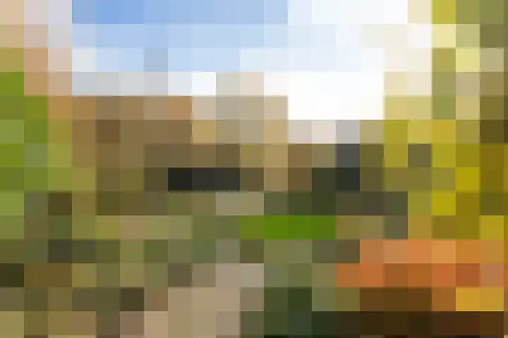 Oostenstein 36 Kollum thumbnail 43