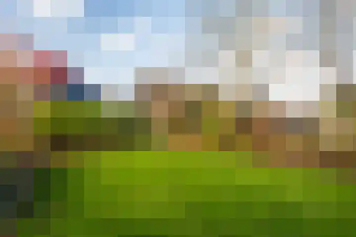 Oostenstein 36 Kollum thumbnail 45