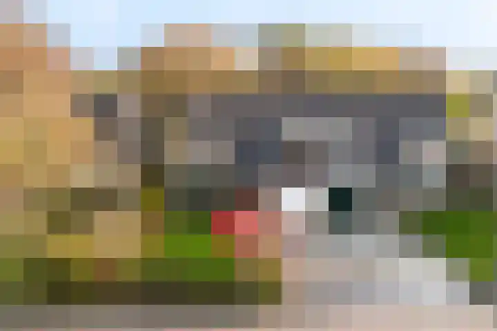 Oostenstein 36 Kollum thumbnail 48