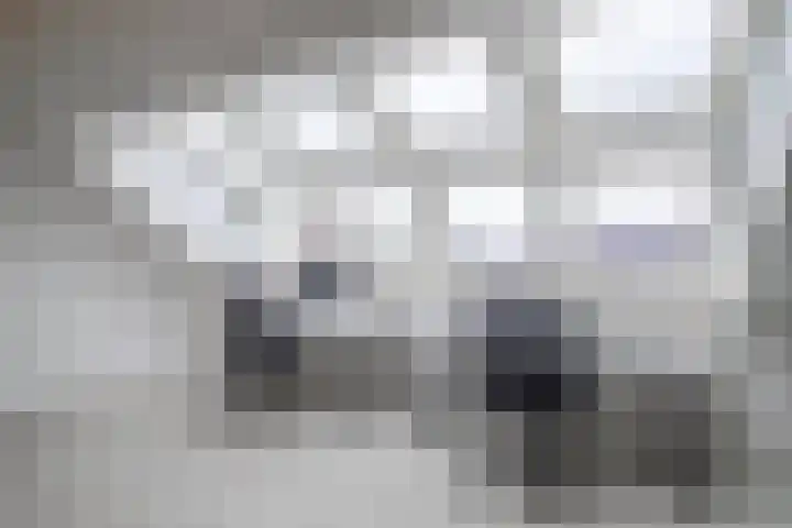 Oostenwind 21 Arnhem thumbnail 5