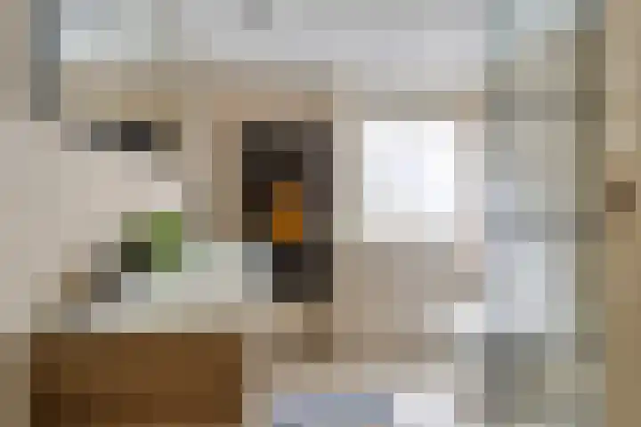 Ooster Badstraat 10 Groningen thumbnail 28