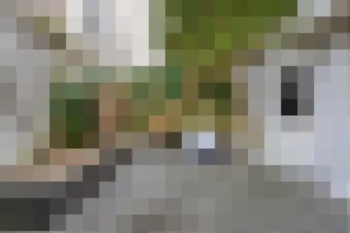 Ooster Badstraat 10 Groningen thumbnail 35