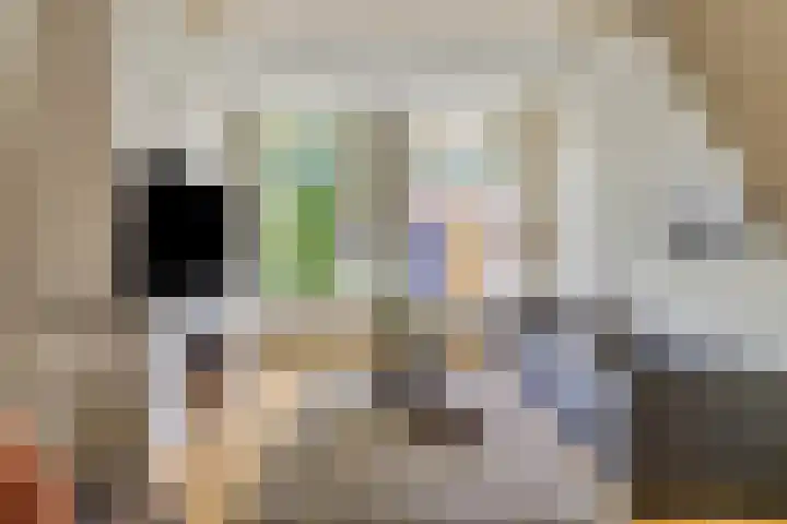 Ooster Badstraat 10 Groningen thumbnail 9