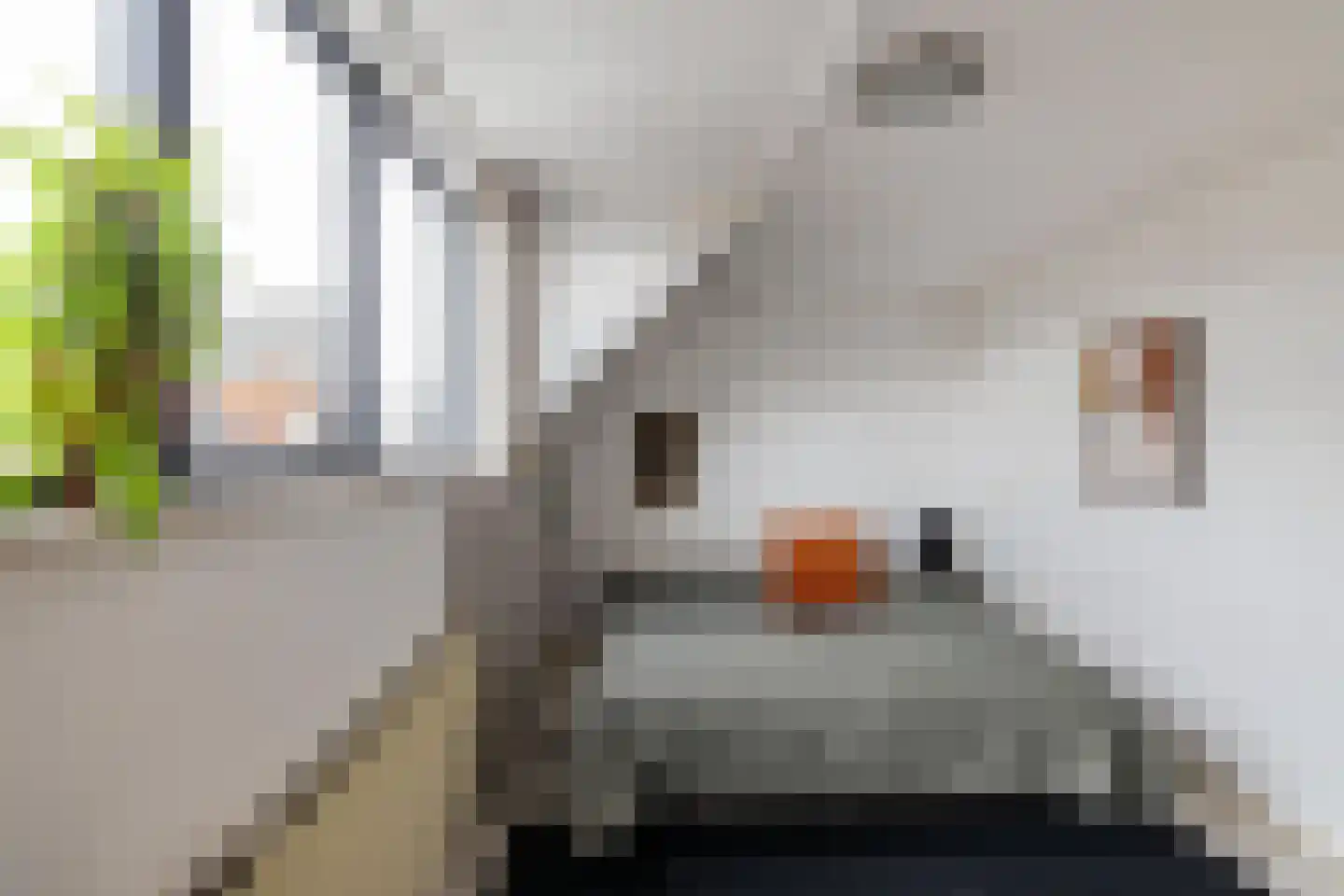 Ooster Badstraat 30 Groningen thumbnail 16
