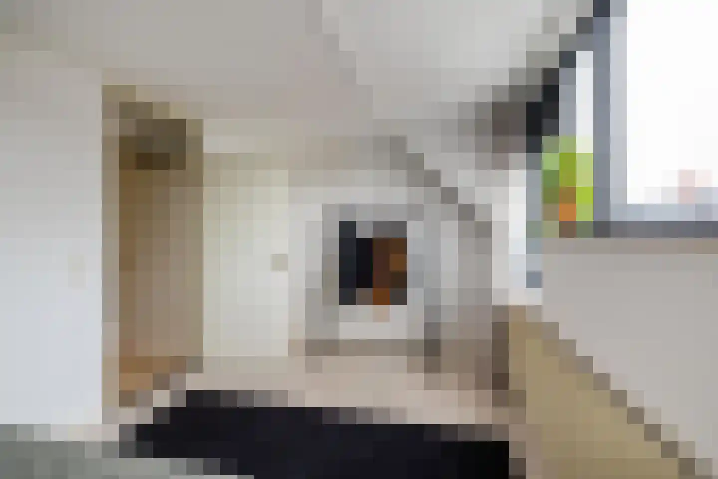 Ooster Badstraat 30 Groningen thumbnail 17