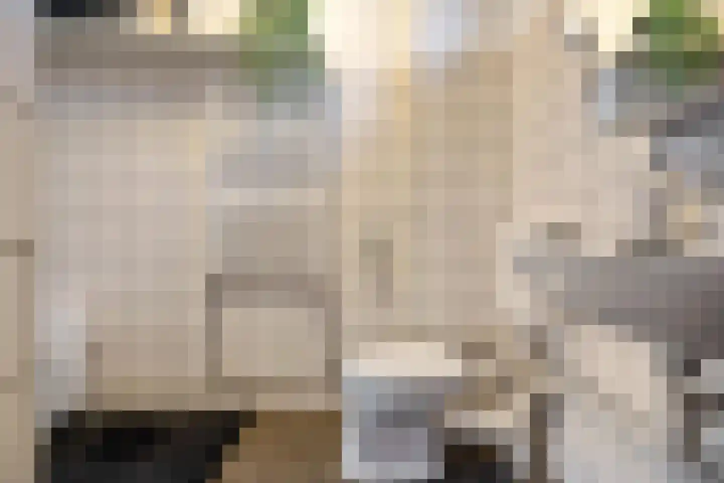 Ooster Badstraat 30 Groningen thumbnail 21