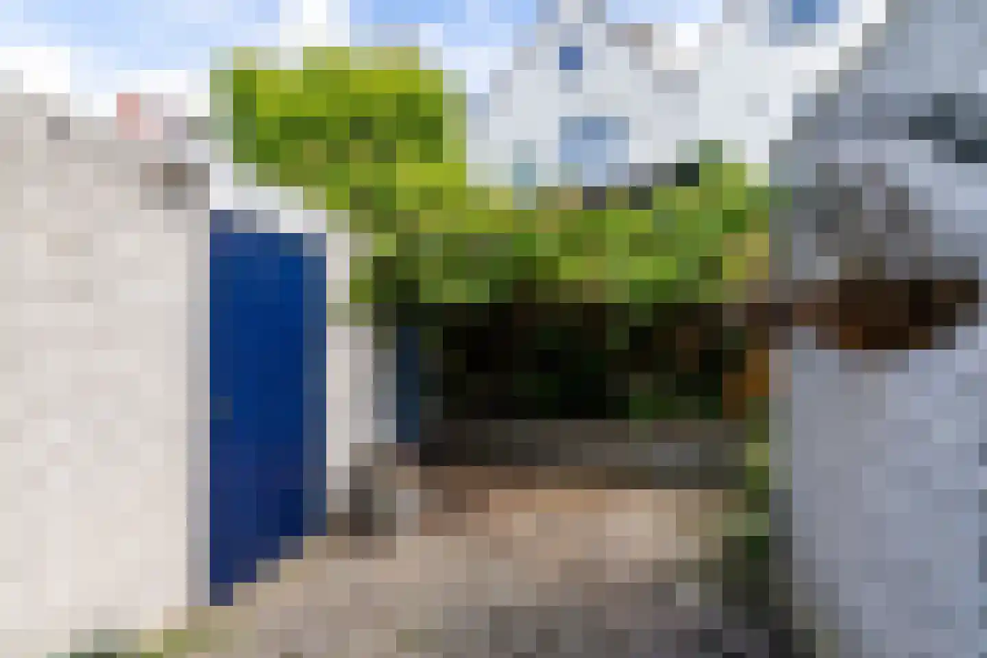 Ooster Badstraat 30 Groningen thumbnail 29