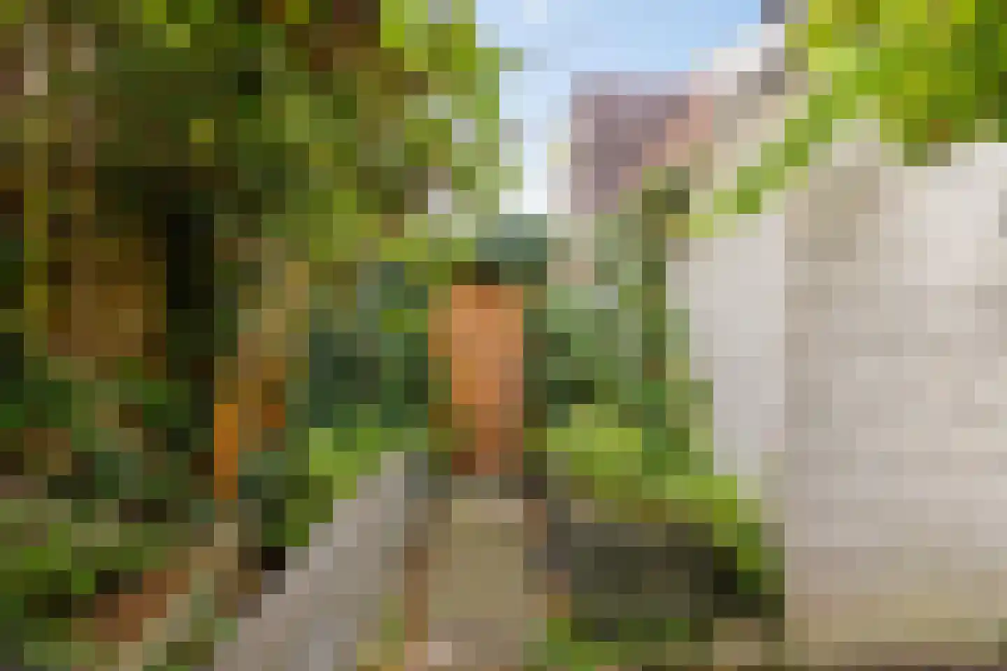 Ooster Badstraat 30 Groningen thumbnail 31
