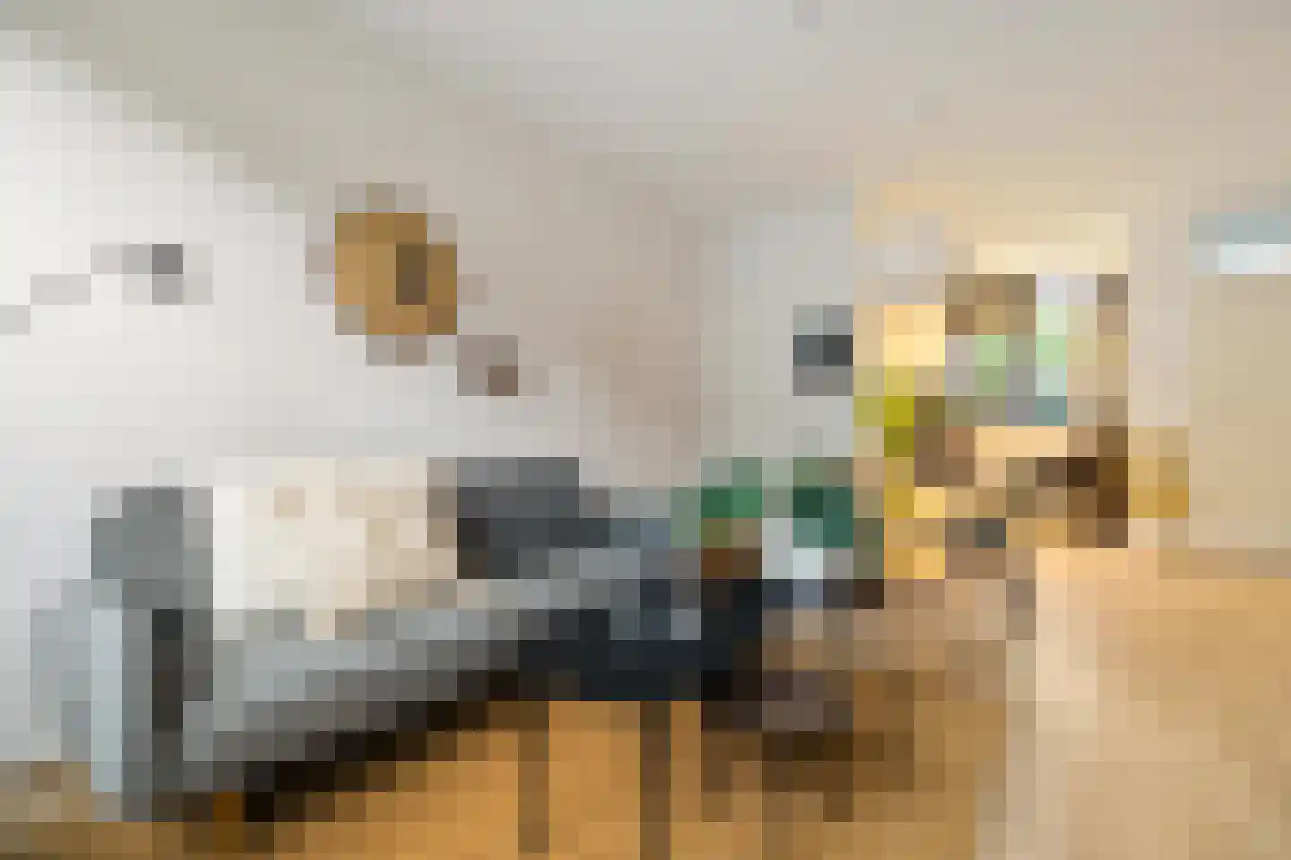 Ooster Badstraat 30 Groningen thumbnail 9