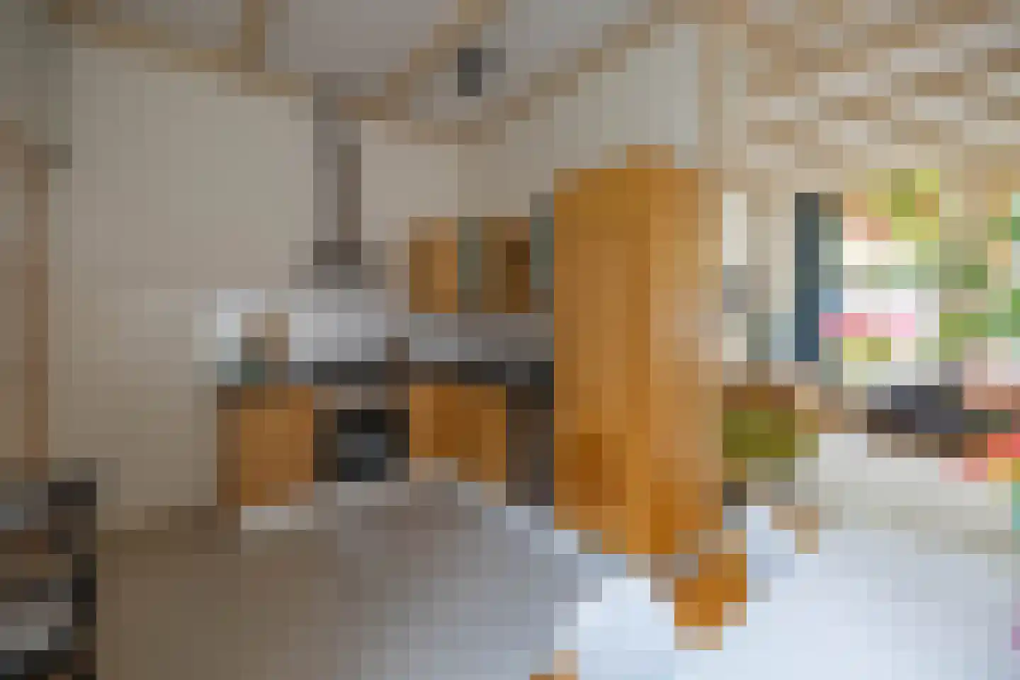 Ooster Badstraat 44 Groningen thumbnail 12