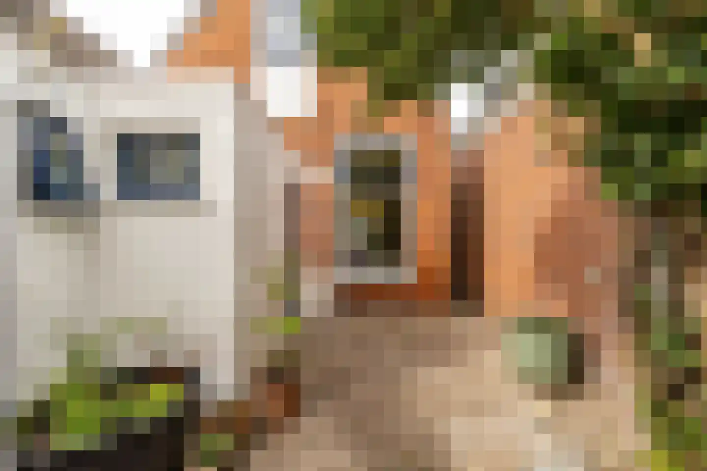 Ooster Badstraat 44 Groningen thumbnail 31