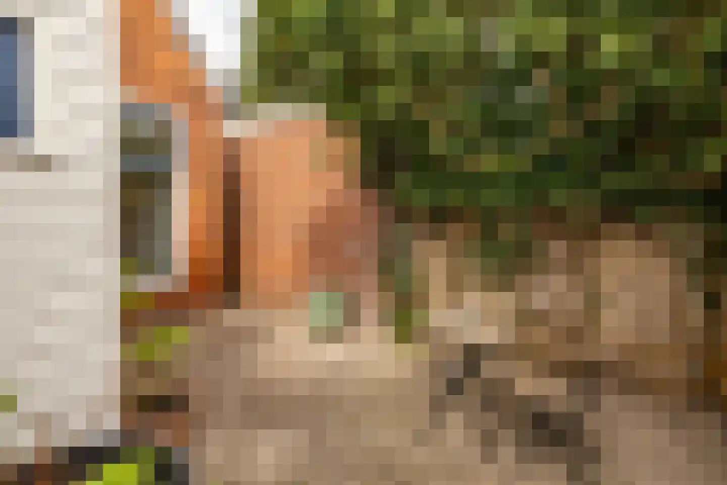 Ooster Badstraat 44 Groningen thumbnail 32