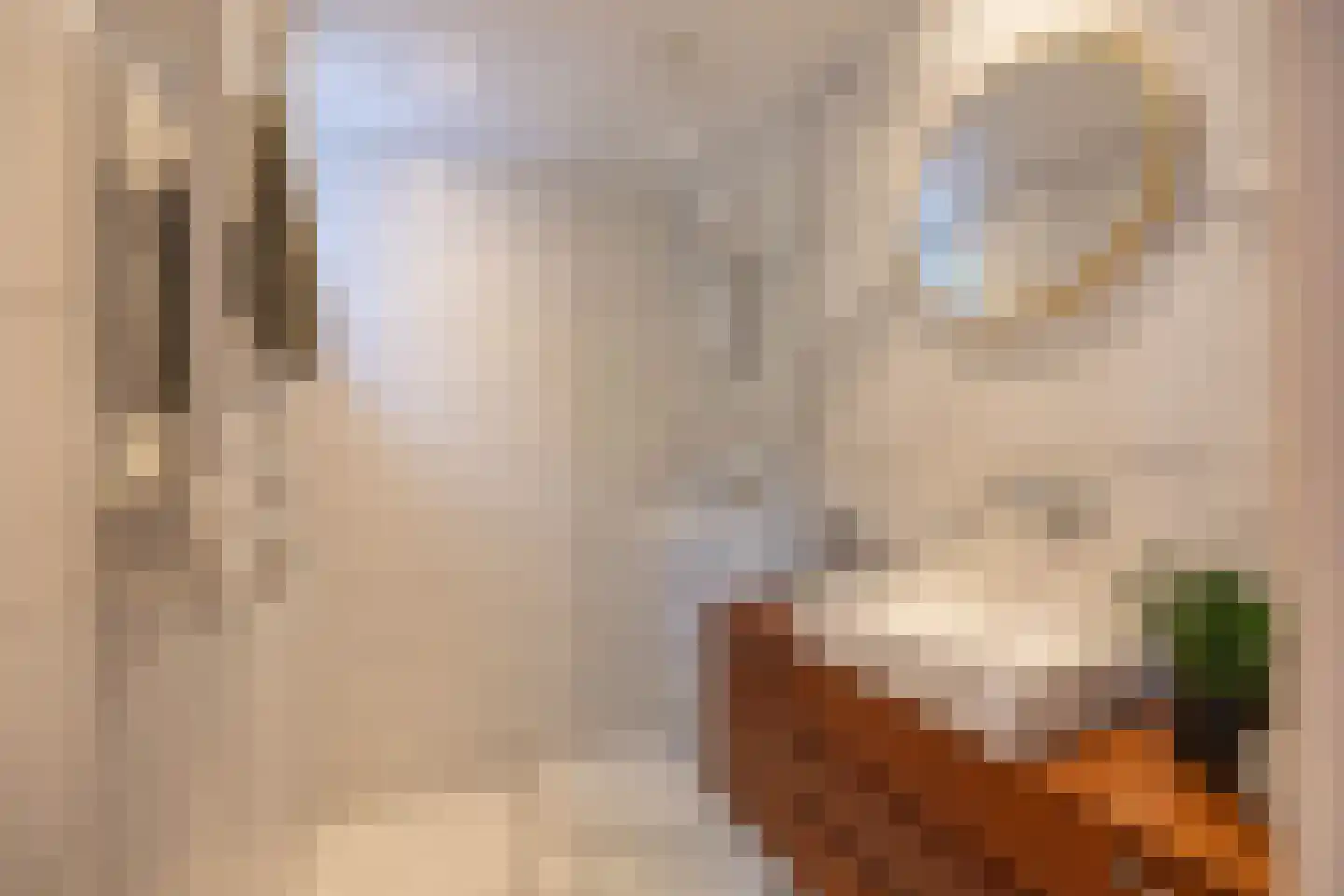 Ooster Badstraat 44 Groningen thumbnail 4