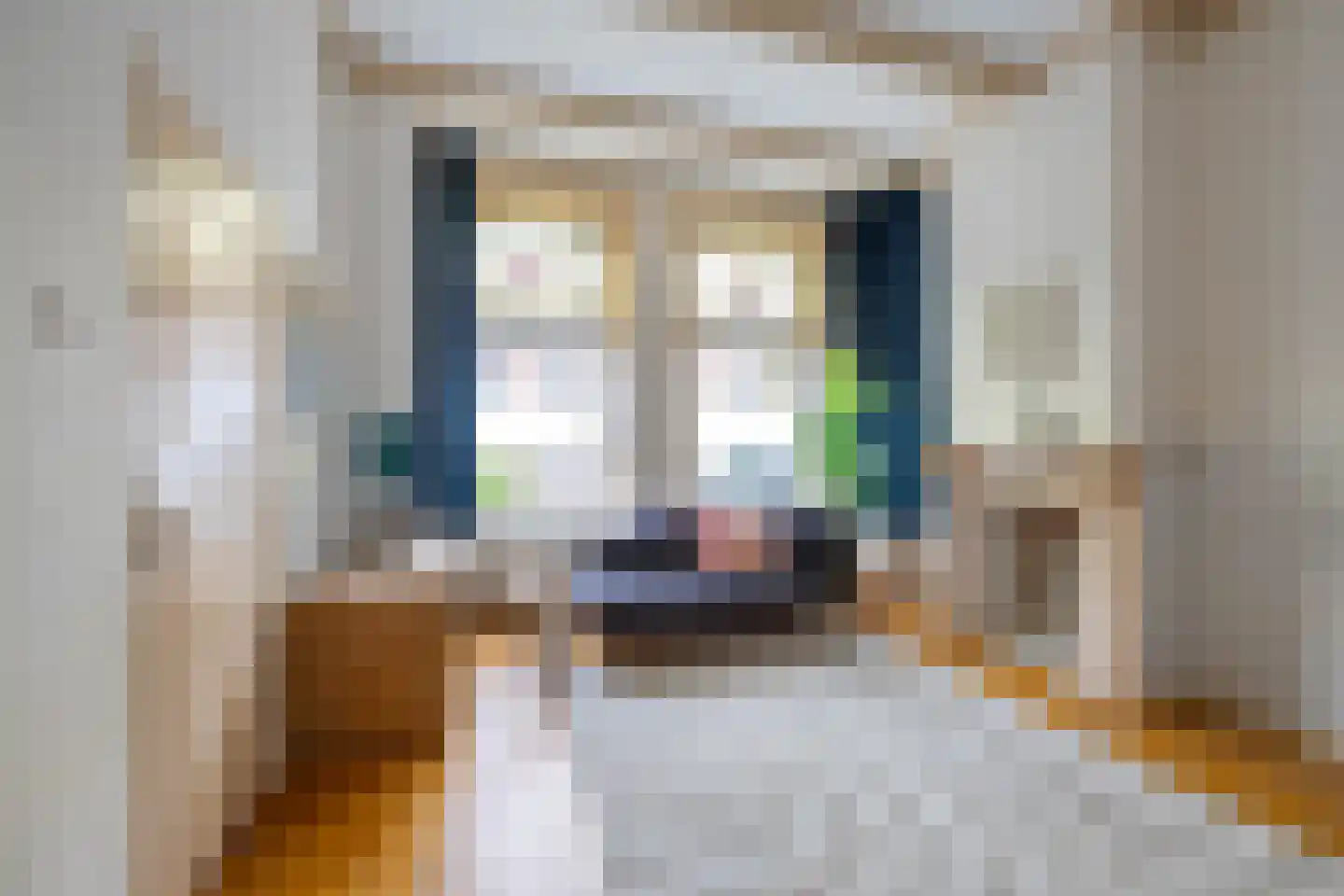 Ooster Badstraat 44 Groningen thumbnail 8
