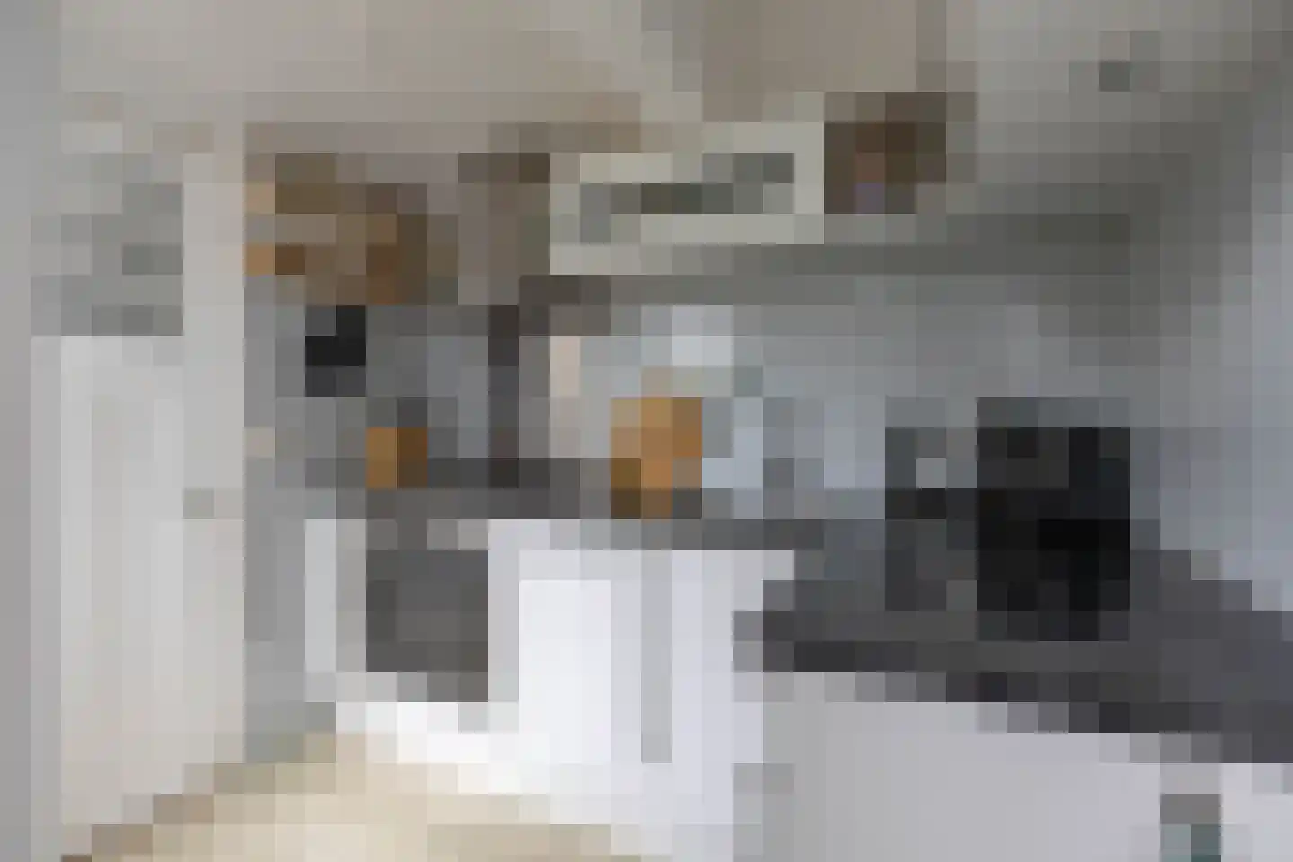 Ooster Badstraat 45 Groningen thumbnail 21