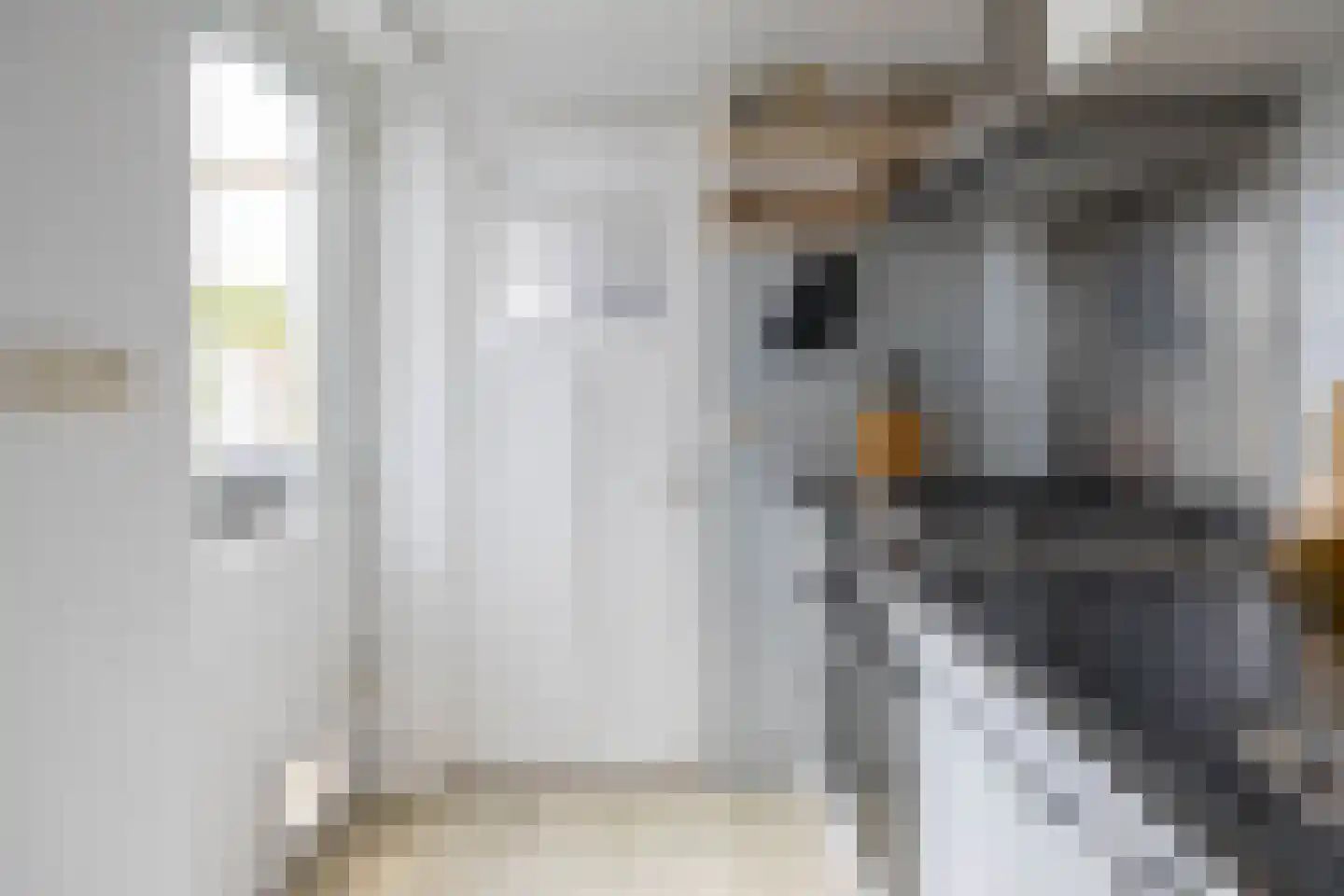 Ooster Badstraat 45 Groningen thumbnail 23