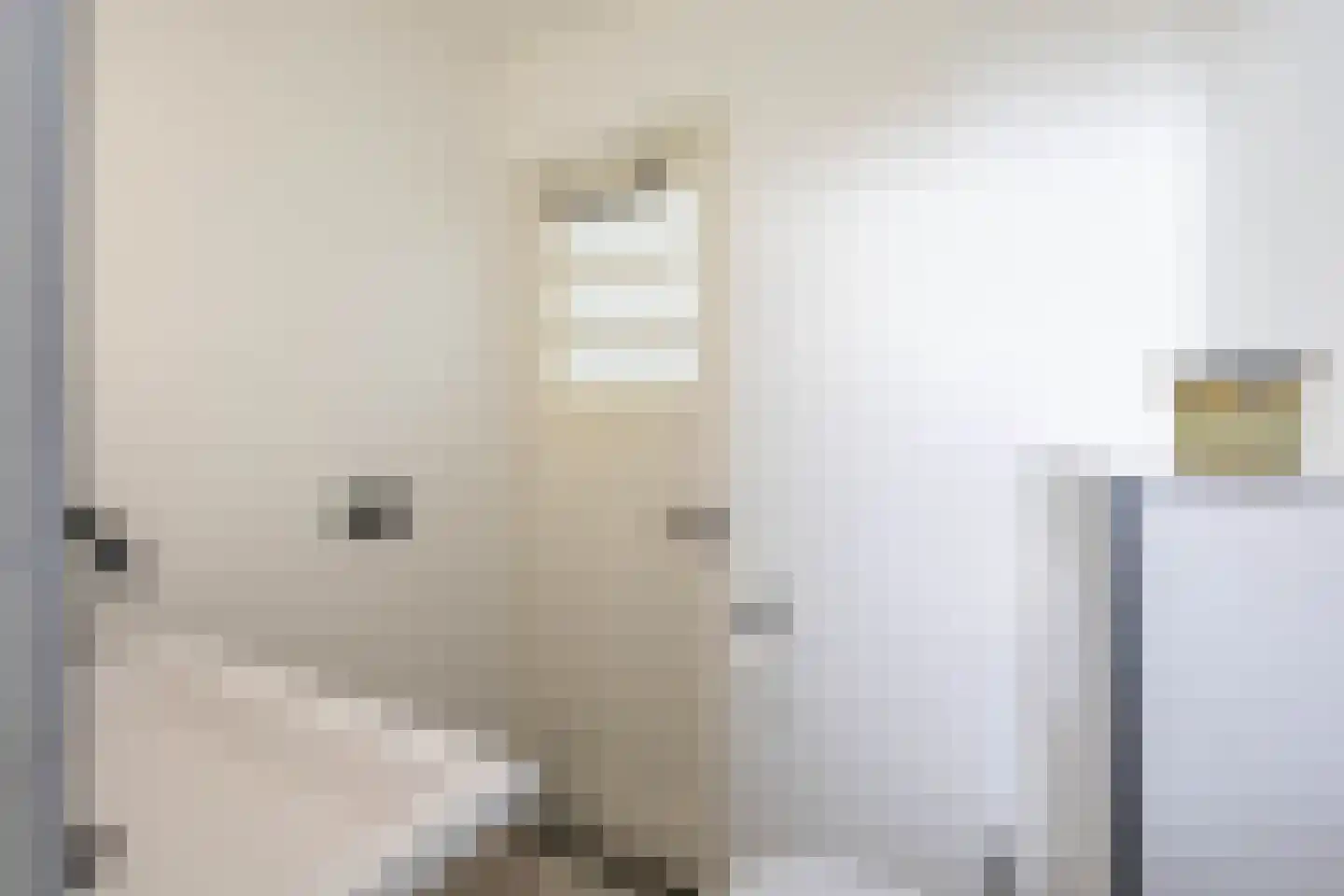 Ooster Badstraat 45 Groningen thumbnail 40
