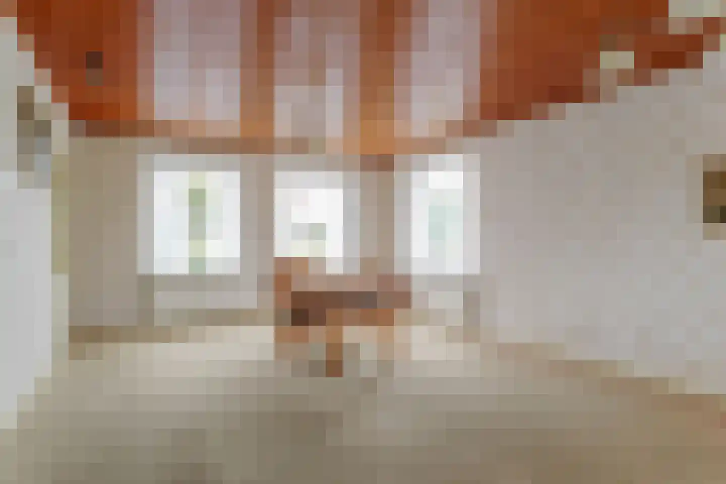 Ooster Boekelweg 34 De Weere thumbnail 16