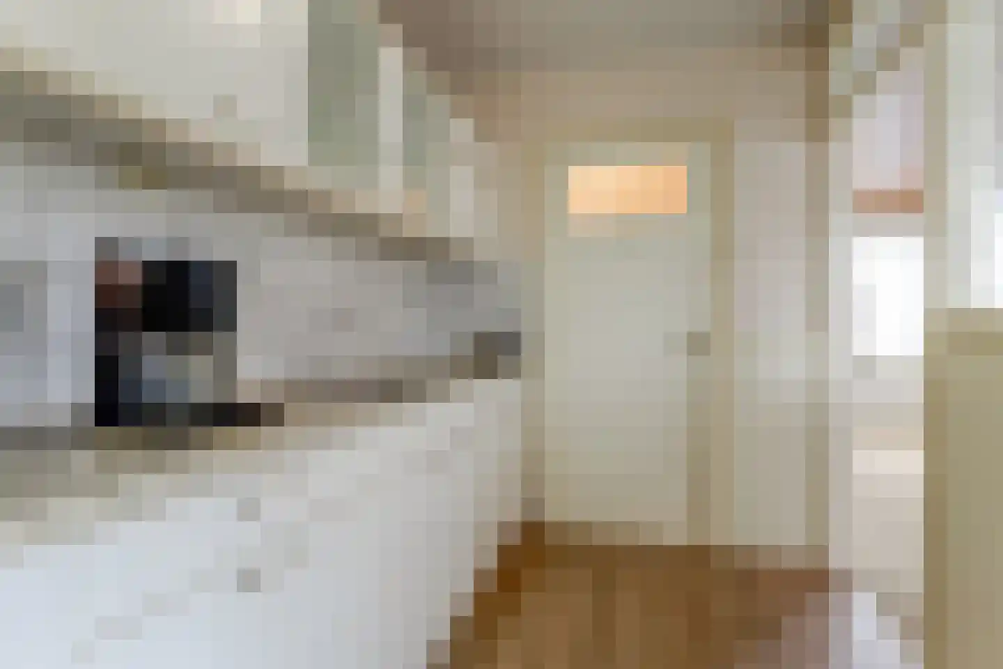Ooster Boekelweg 34 De Weere thumbnail 18