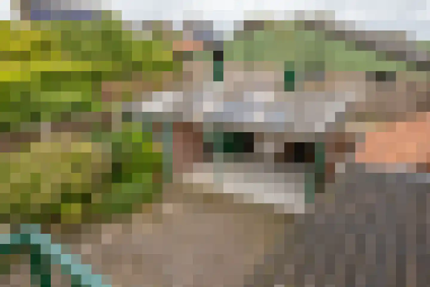 Ooster Boekelweg 34 De Weere thumbnail 48